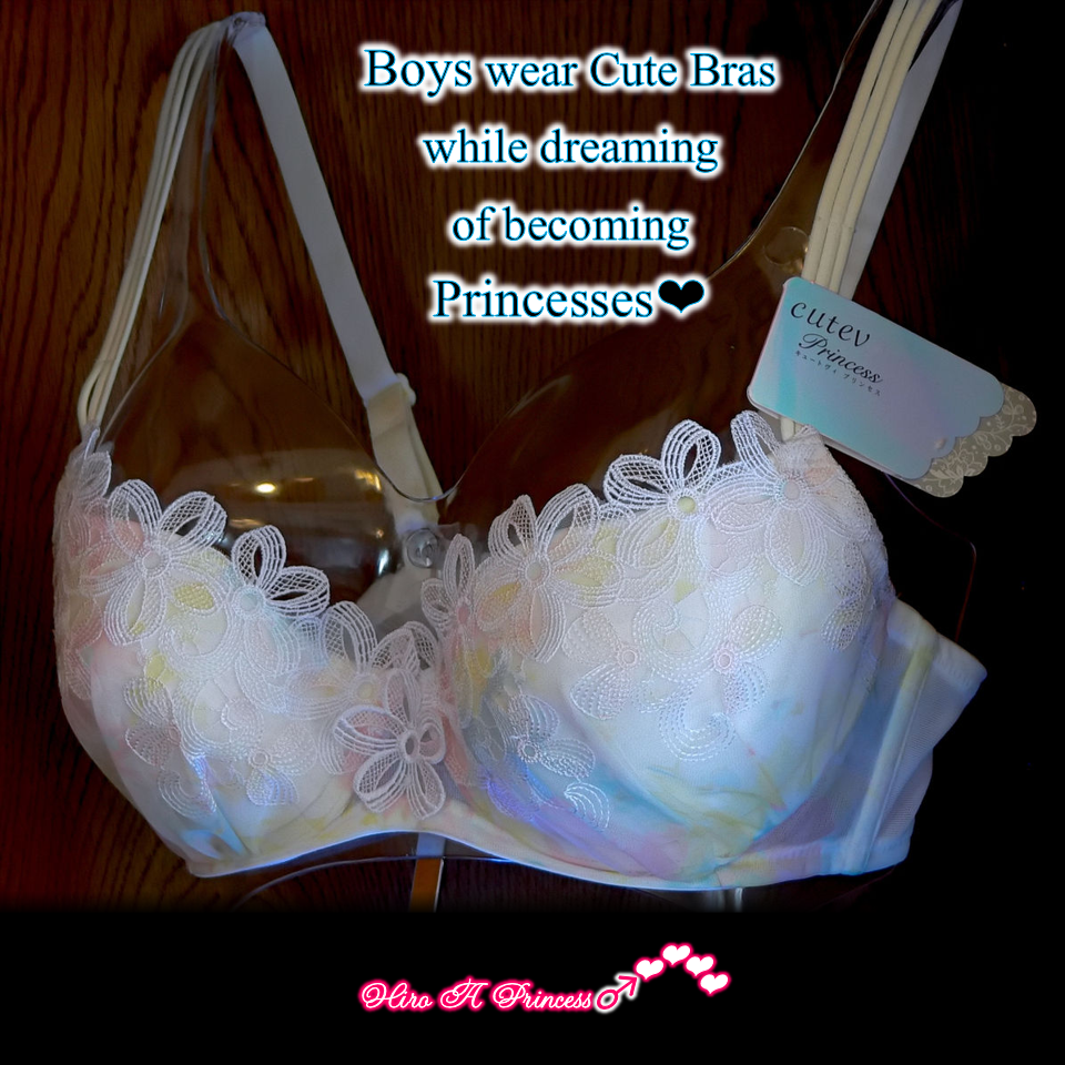 Boys wear Cute Bras while dreaming of becoming Princesses E