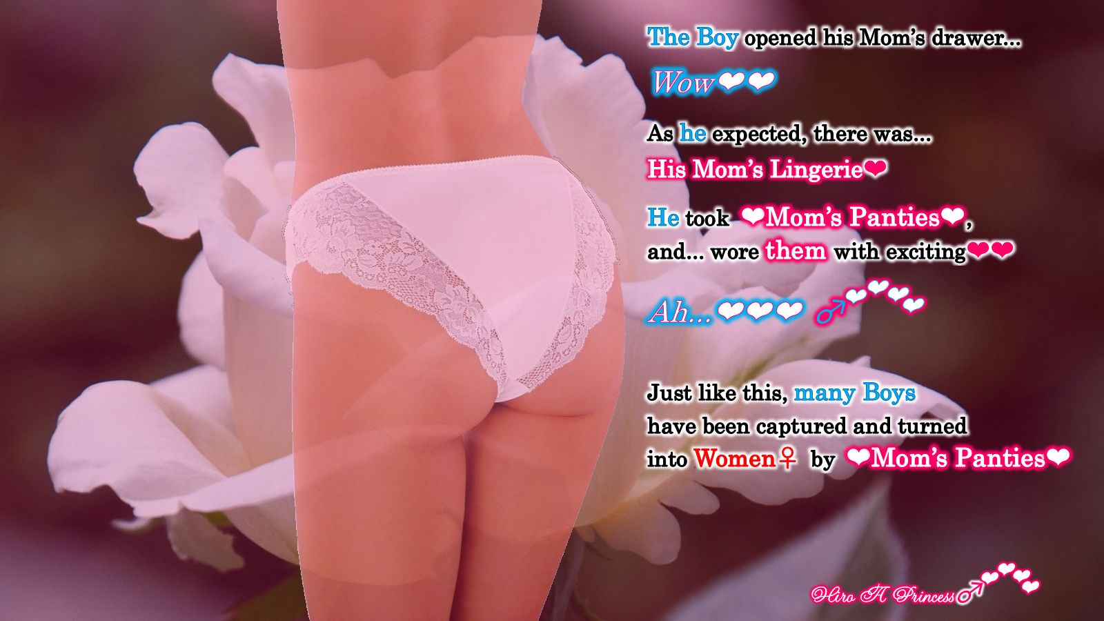 Many Boys have been captured and turned into Women by Mom’s Panties E