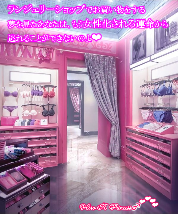 If you had a dream of shopping in a Lingerie shop, you can no longer escape the fate you’ll be Feminized J