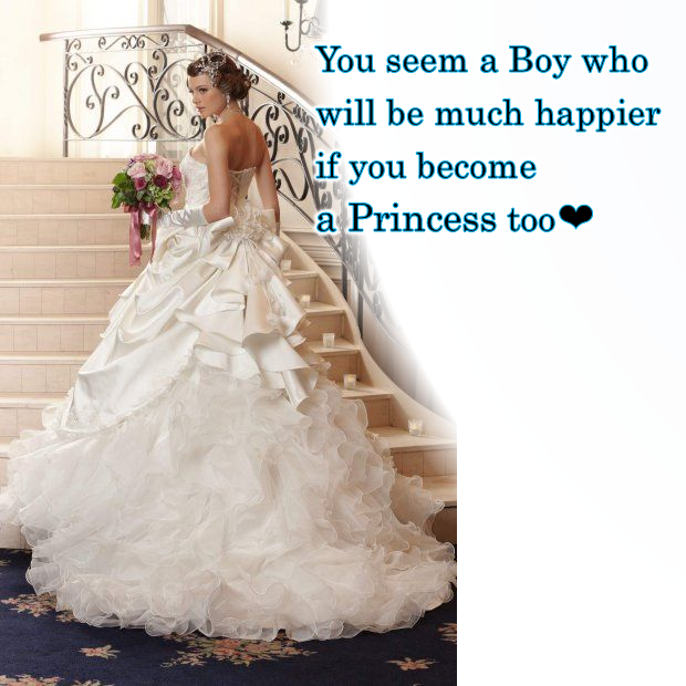 You seem a Boy who will be much happier if you become a Princess too E